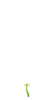dolina